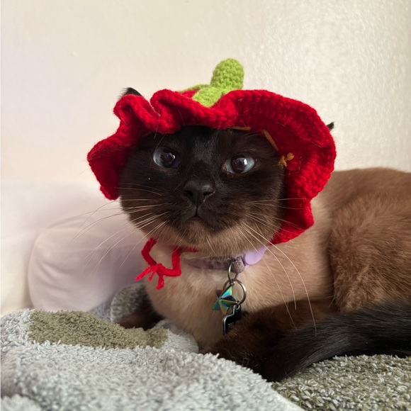 Meet your Posher, Kristina! - Picture 8 of 16